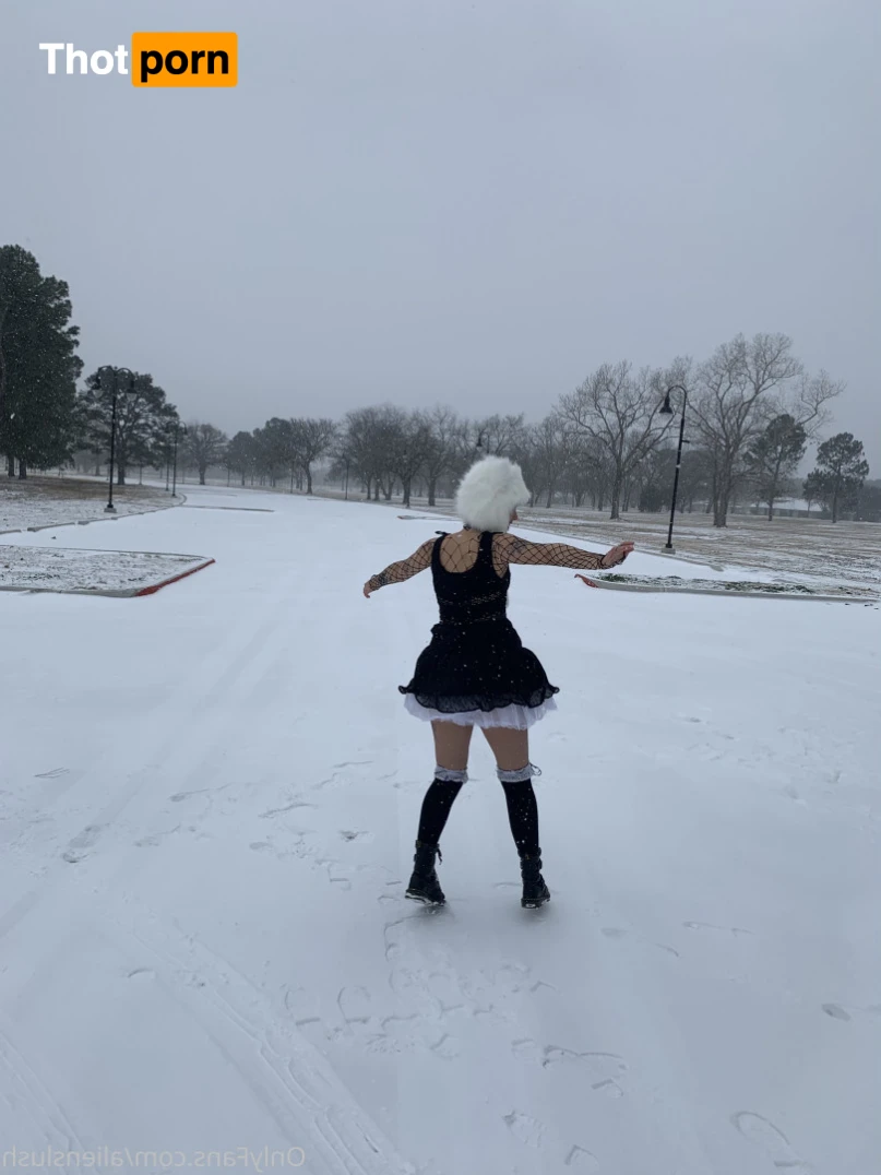 echo / kitten 12014842