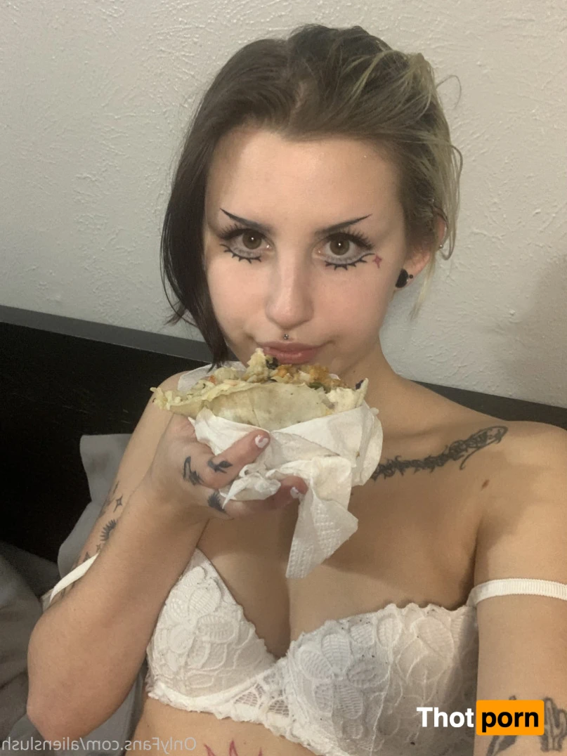 echo / kitten 12015068