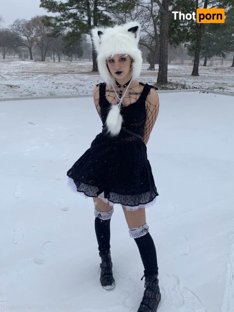 echo / kitten 12015127