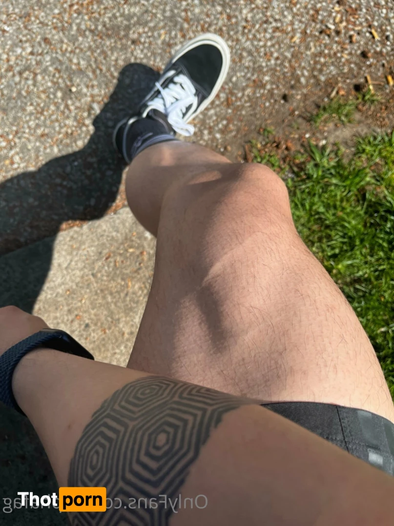 Alpha Pig Fag 11854414