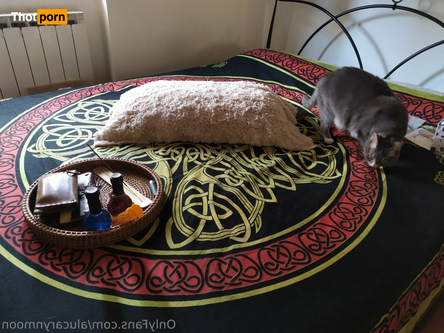 Alucarynmoon 11849831