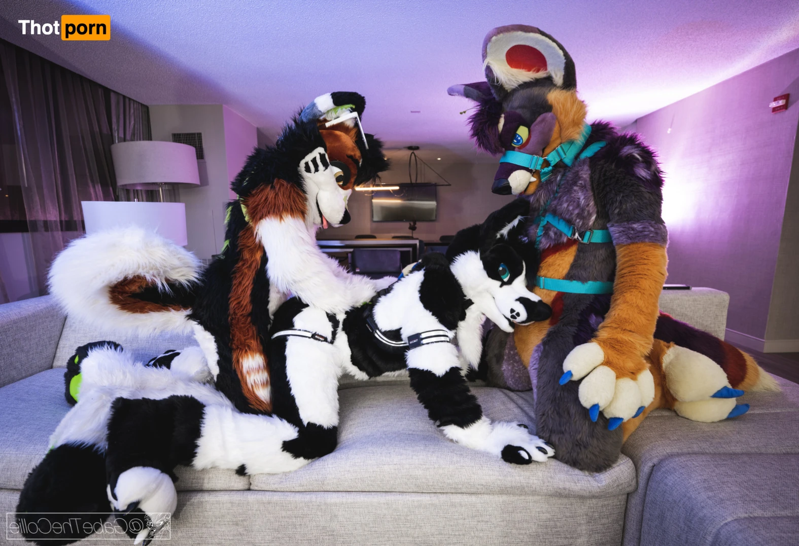 Small things, big packages 11496345