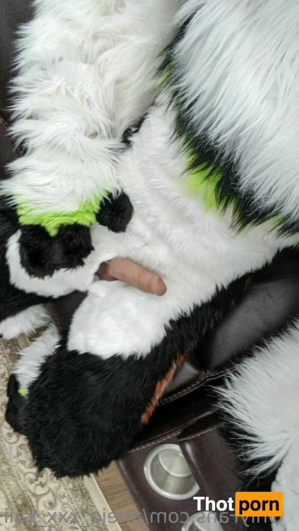 Small things, big packages 11496422