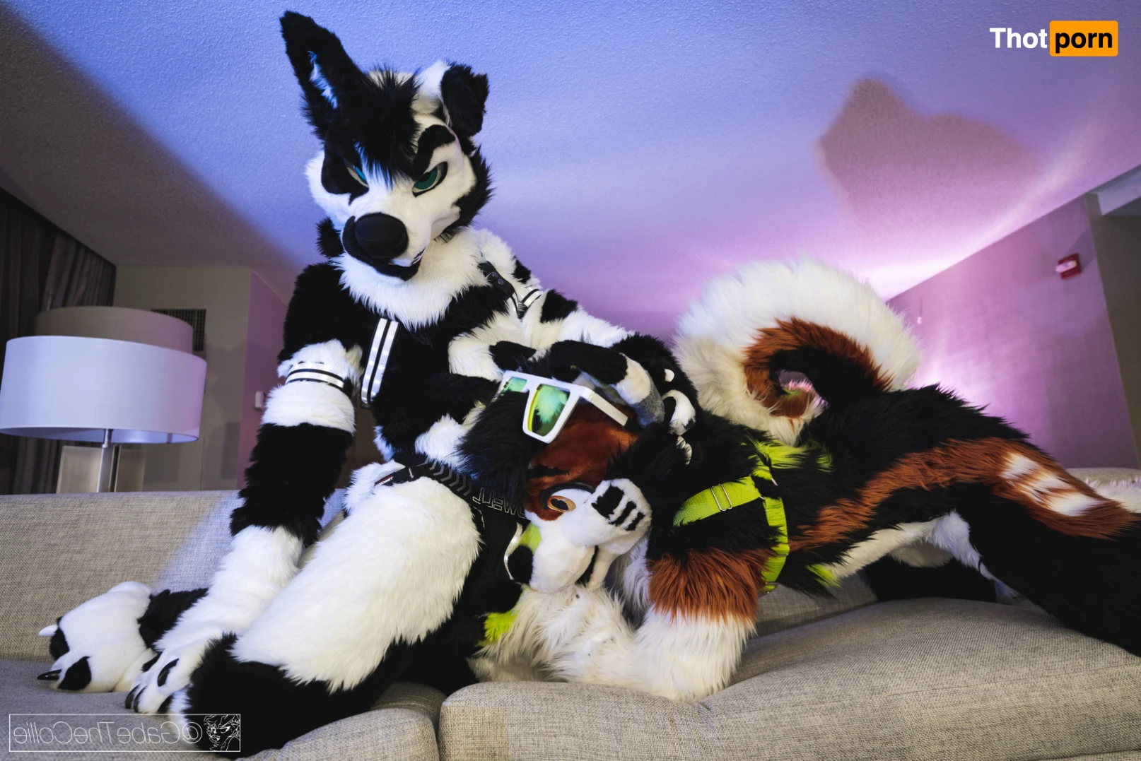 Small things, big packages 11496429