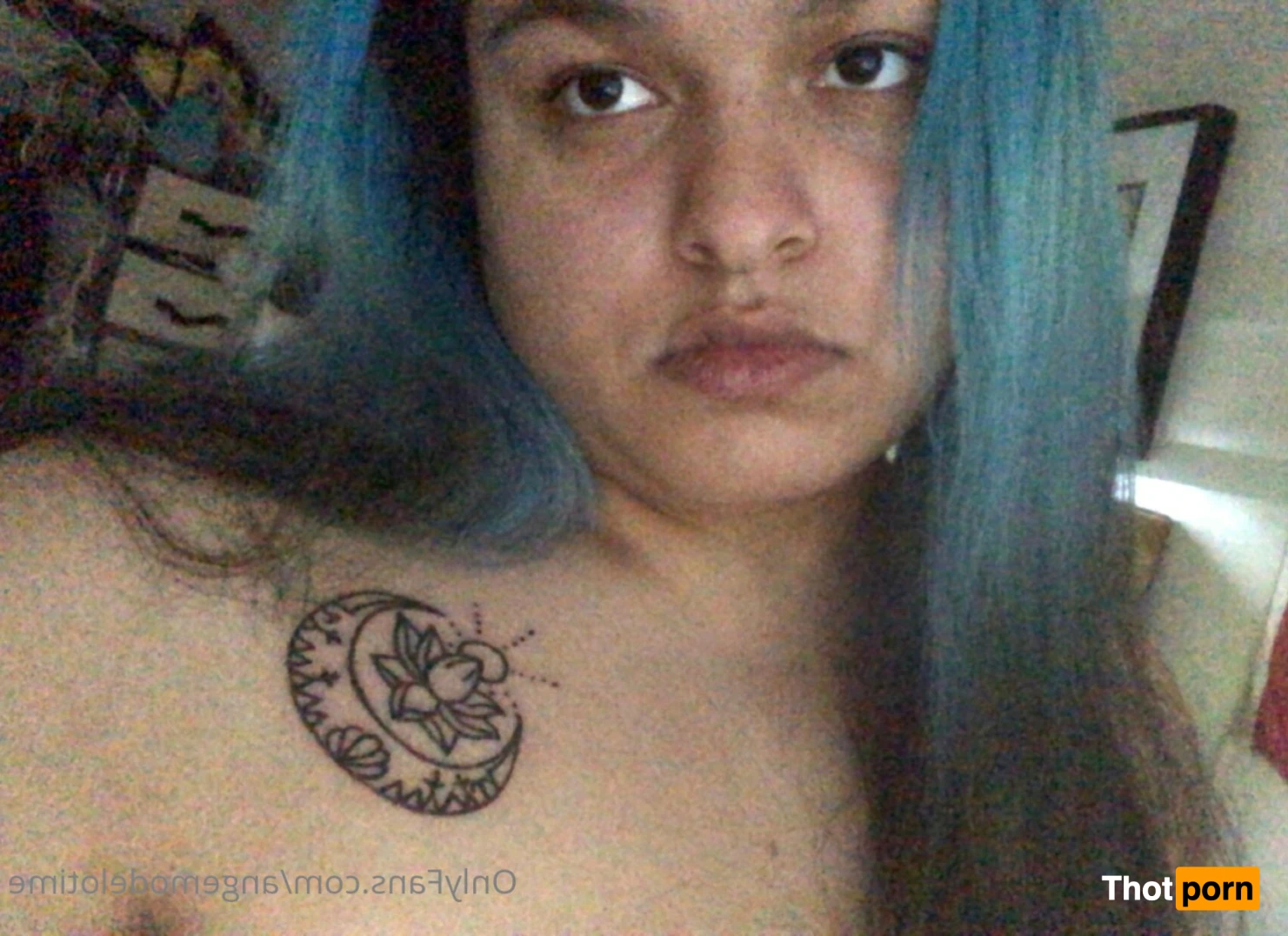 Kitten Angelina 11400942