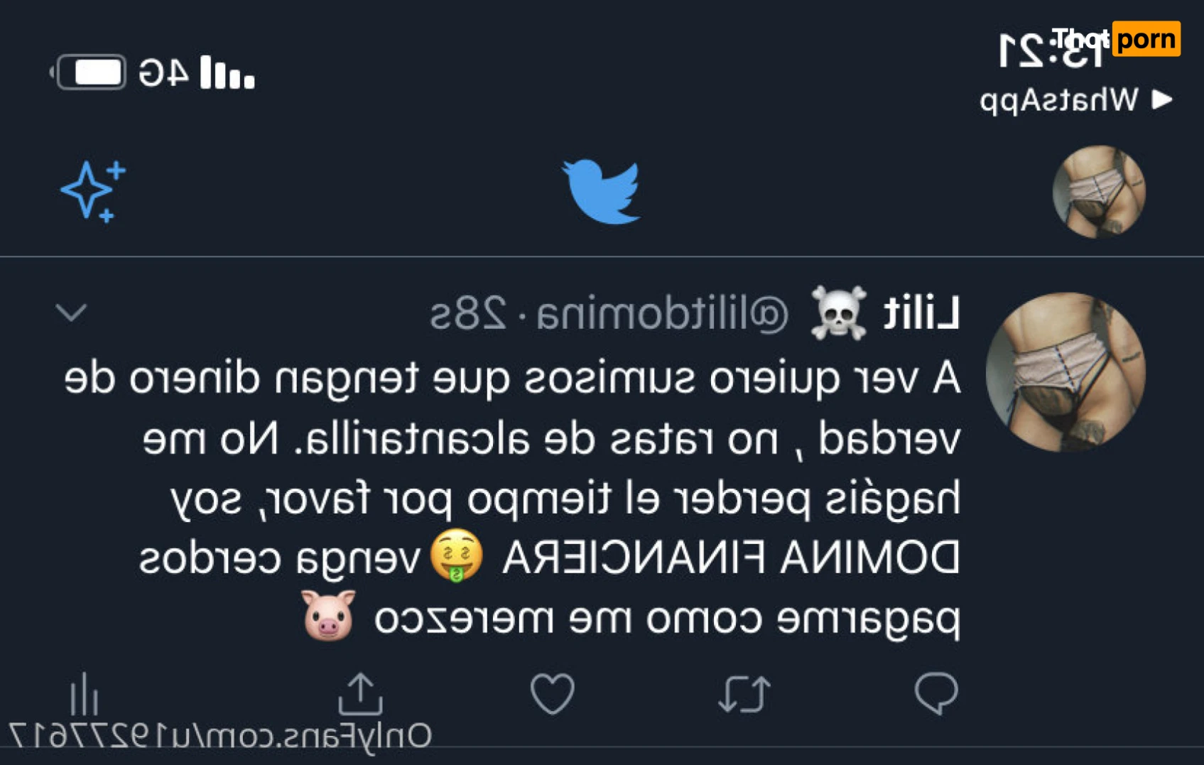 Anubis  🖤 16512549