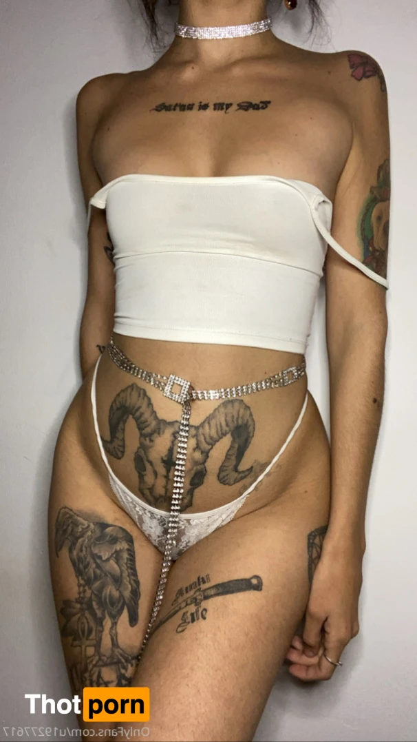 Anubis  🖤 16512678