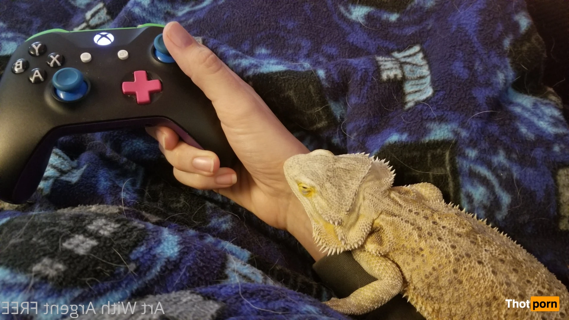 Argent Silver 16472228