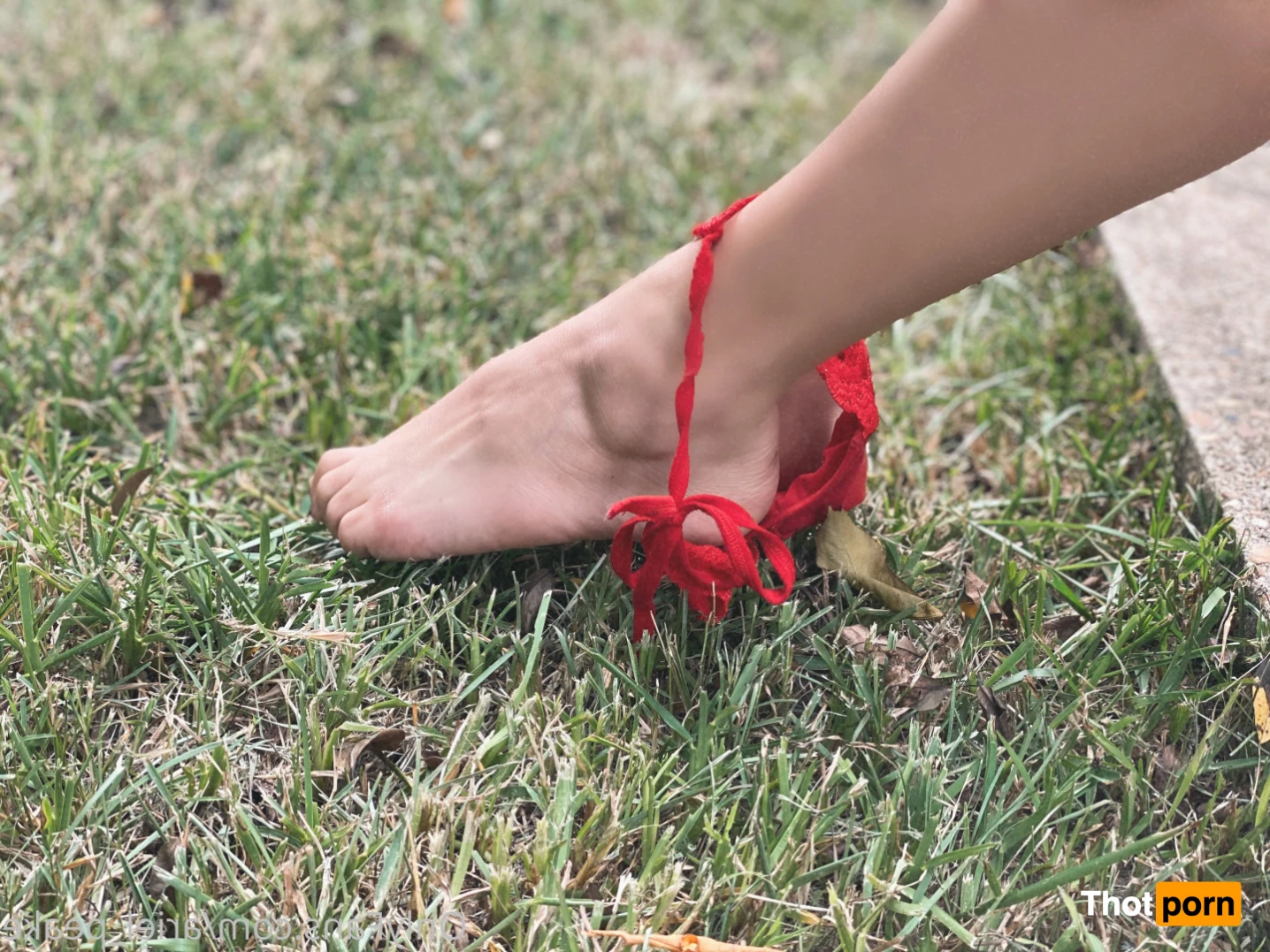 ariel peake 16461591