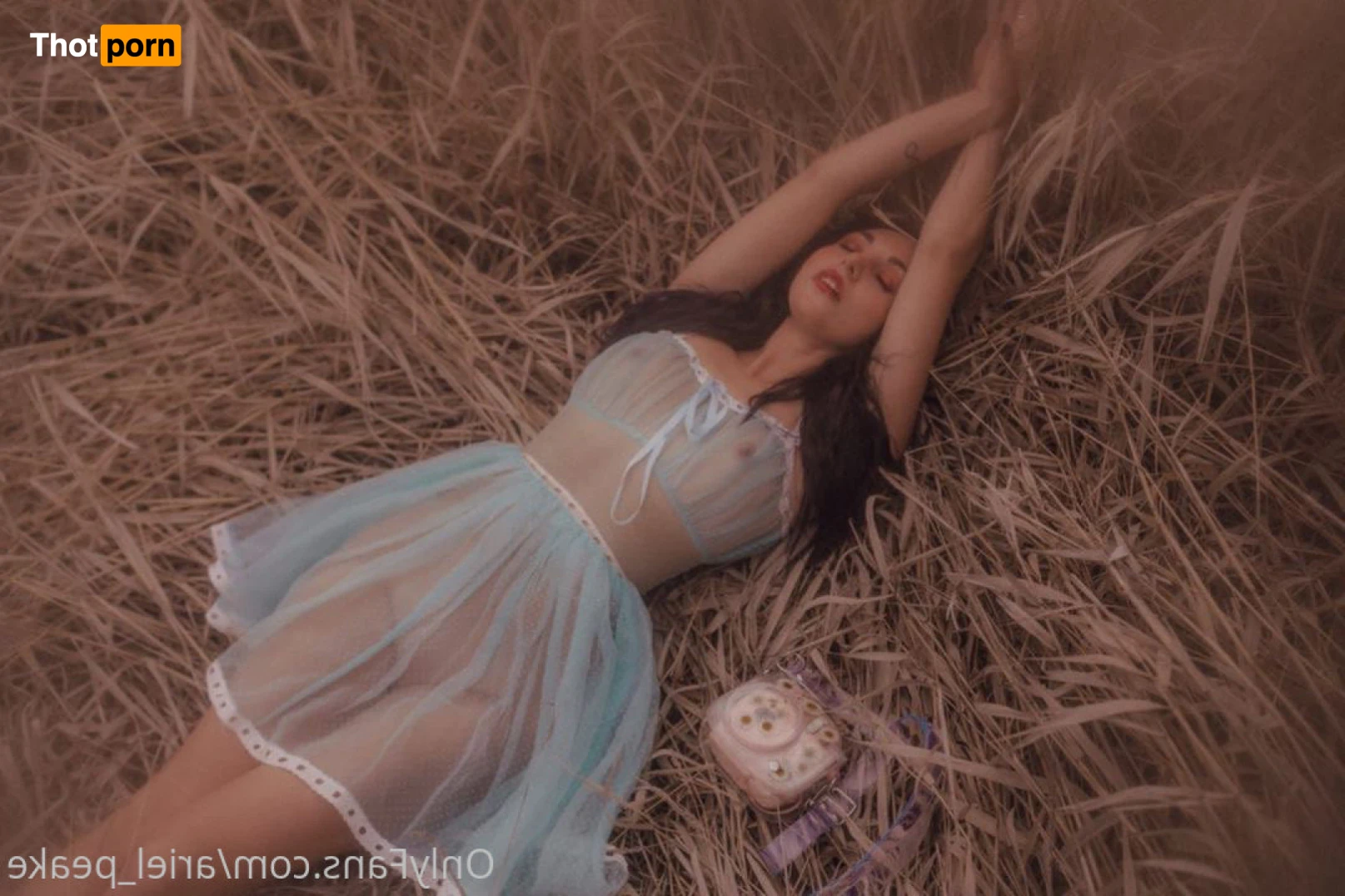 ariel peake 16461806