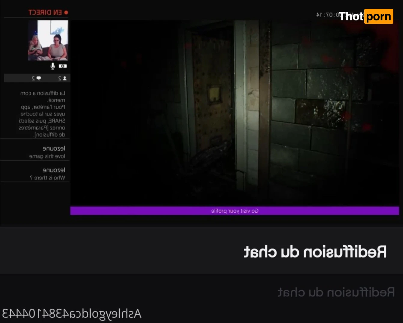 Ashley Gold 16412810