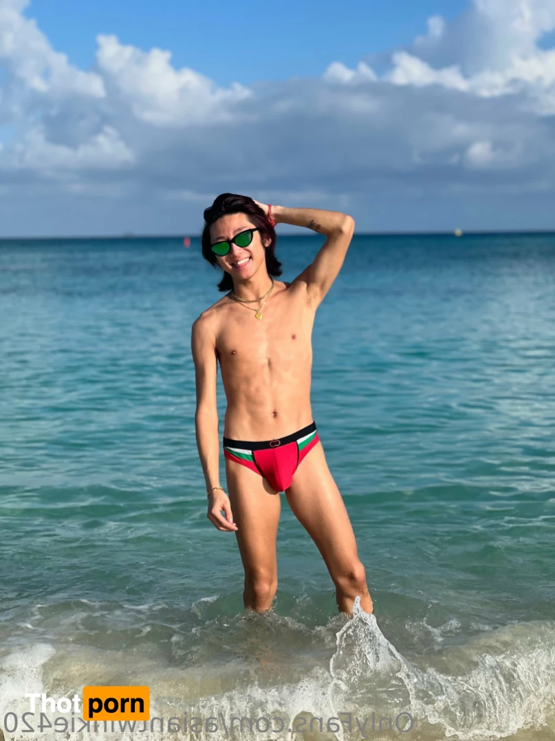 asiantwinkie 16386397