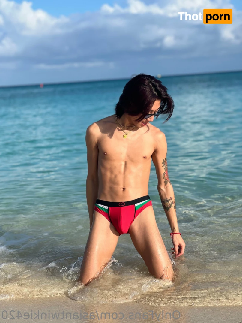 asiantwinkie 16386877