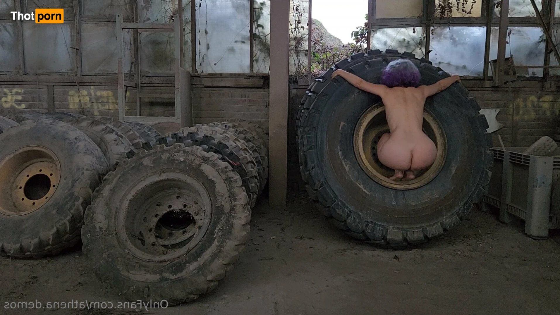 Aunt Athena 16369973