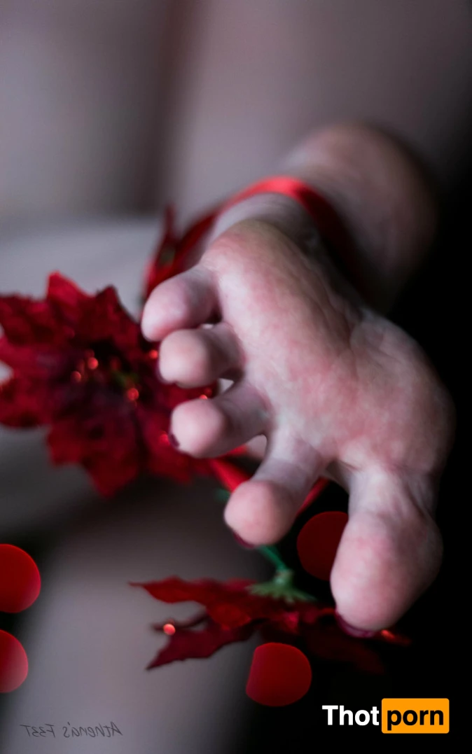 Athena's Feet 14312381