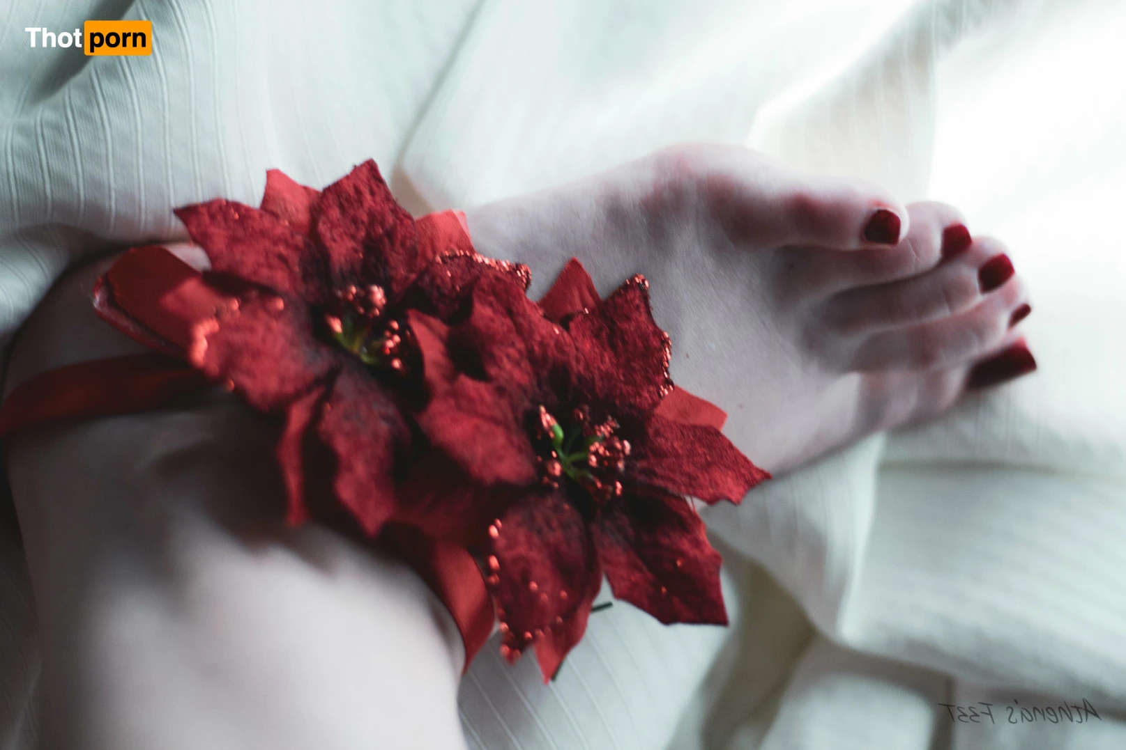 Athena's Feet 14312443