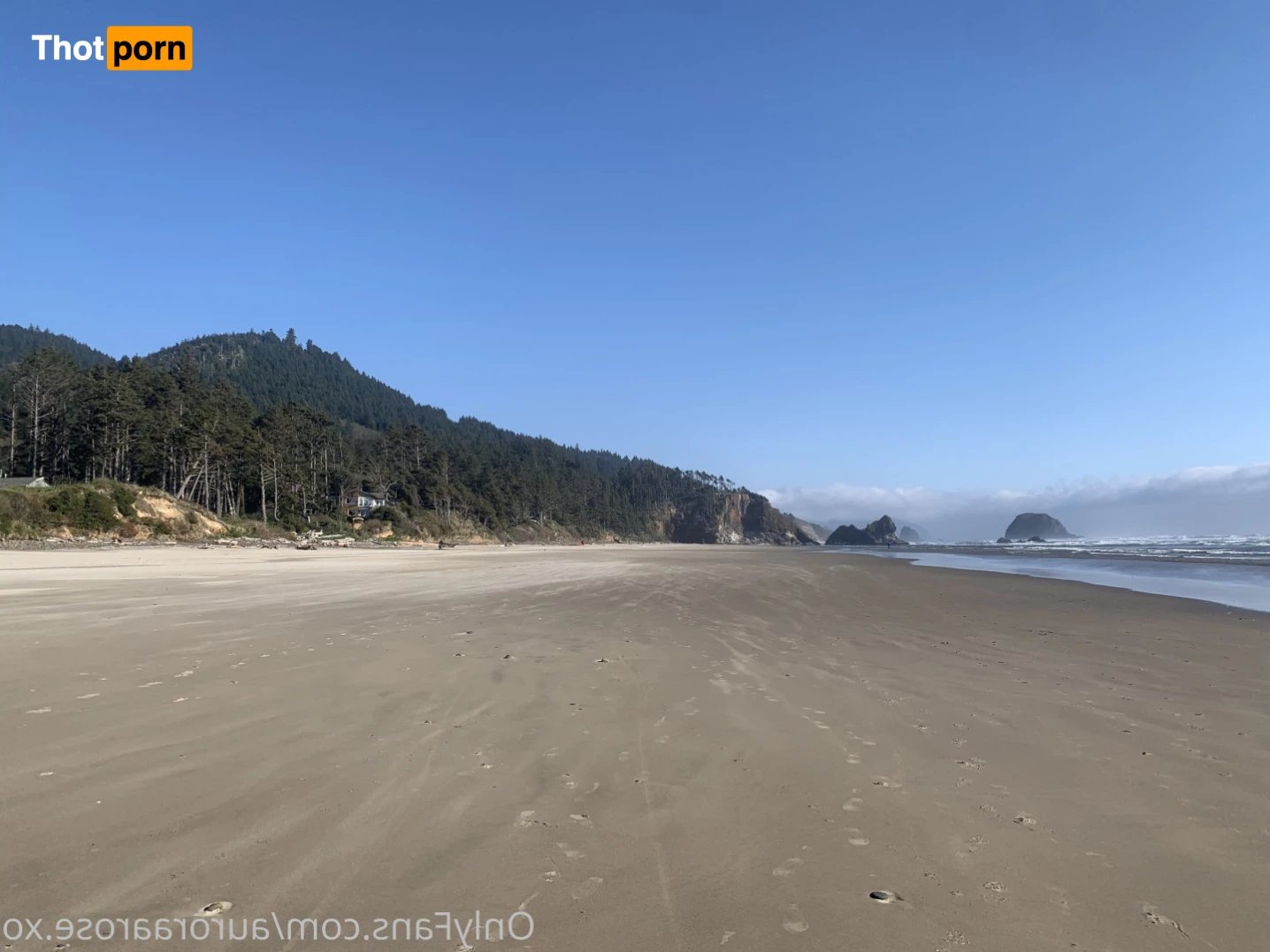 Auroraa Rose XO 16367599