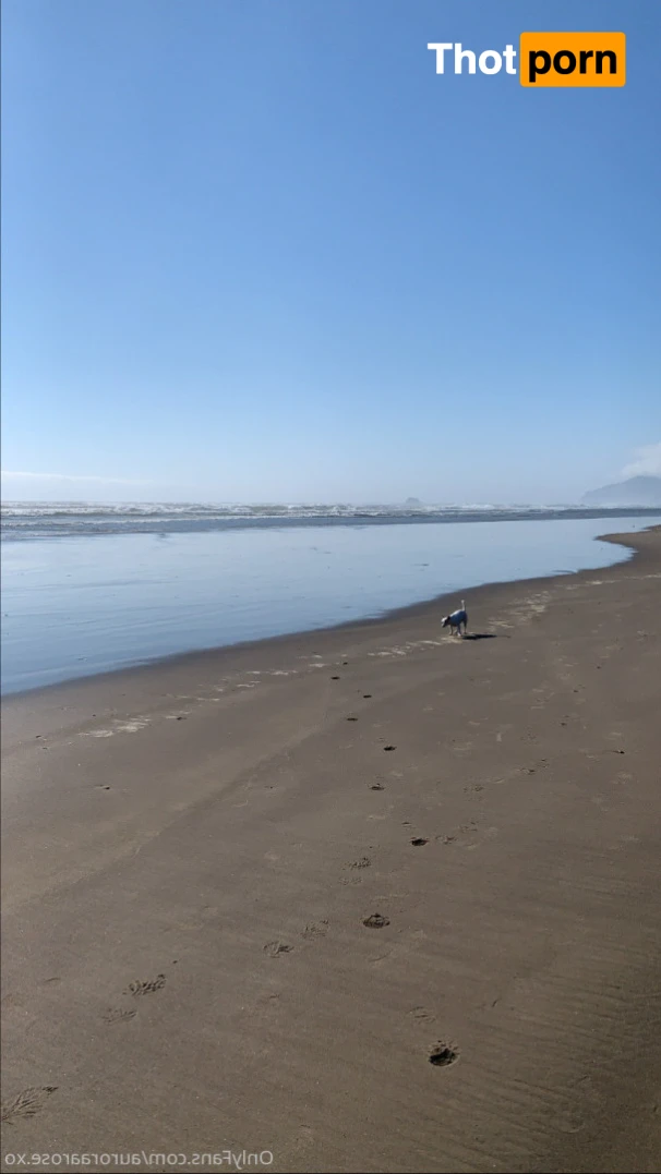 Auroraa Rose XO 16367663