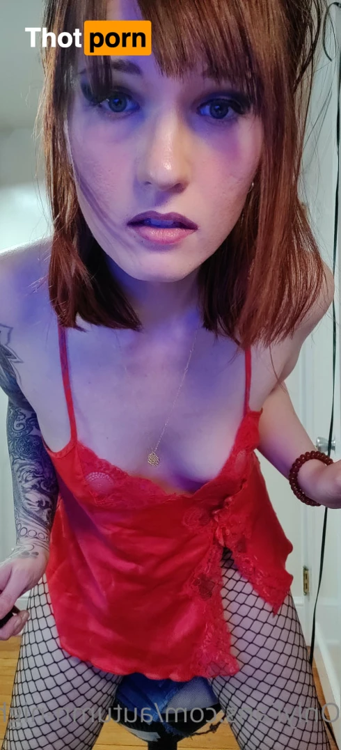 Autumn Nights 16365360