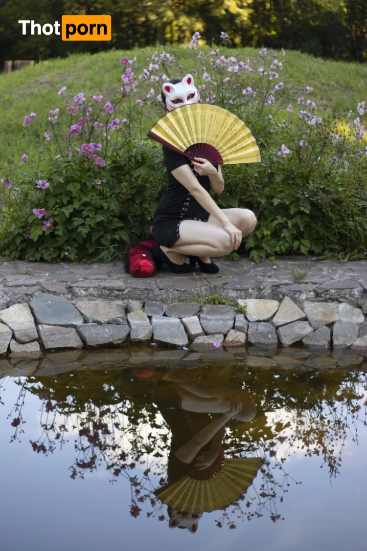 Akita - Cat Lady 11973790