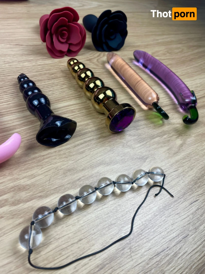 Akita - Cat Lady 11973844