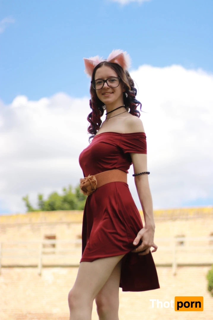 Akita - Cat Lady 11973979