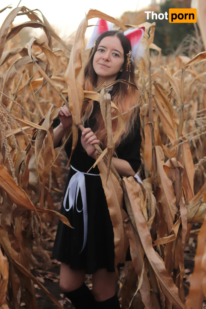 Akita - Cat Lady 11974058