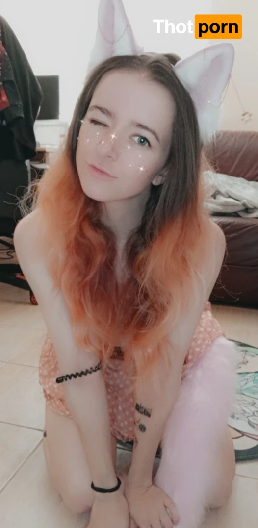 Akita - Cat Lady 11974311