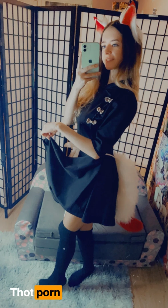 Akita - Cat Lady 11974332