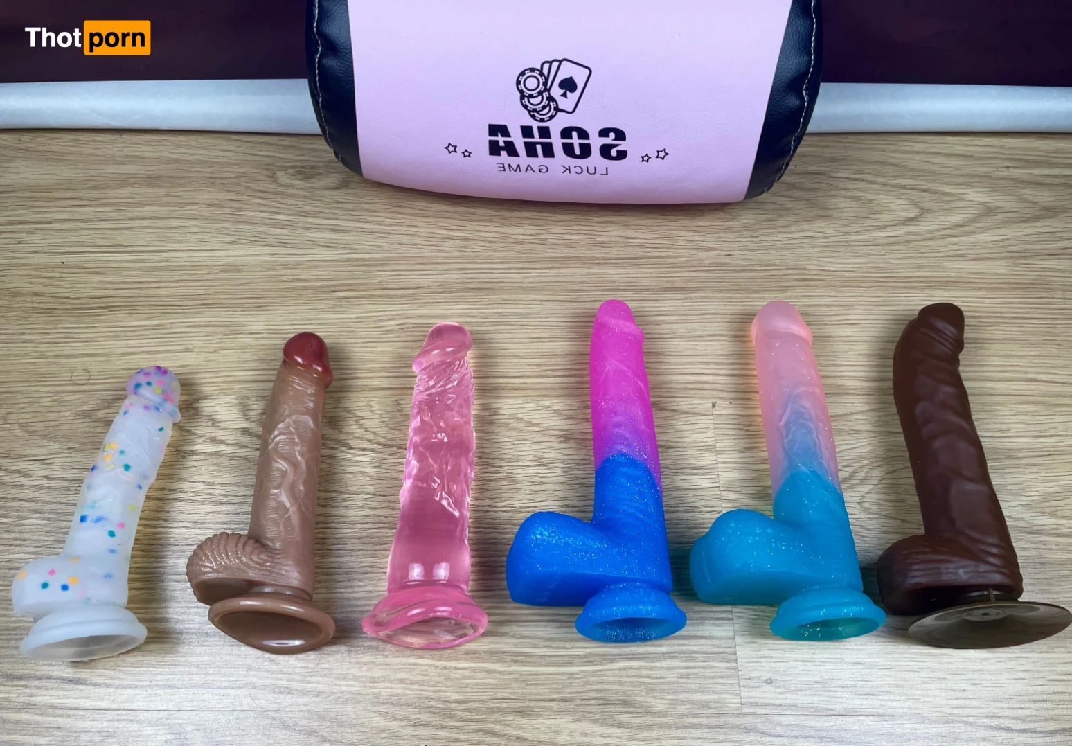 Akita - Cat Lady 11974549