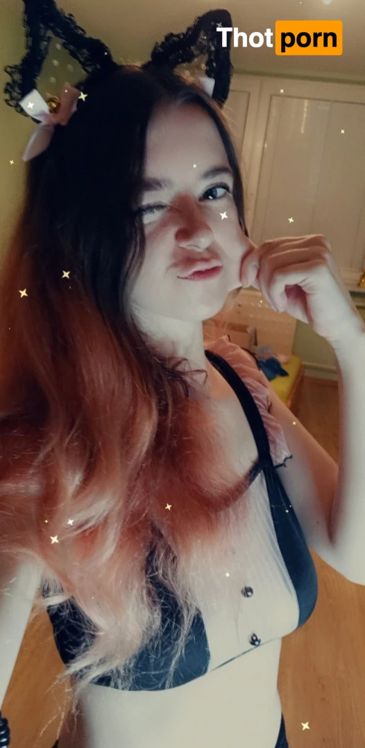 Akita - Cat Lady 11974896