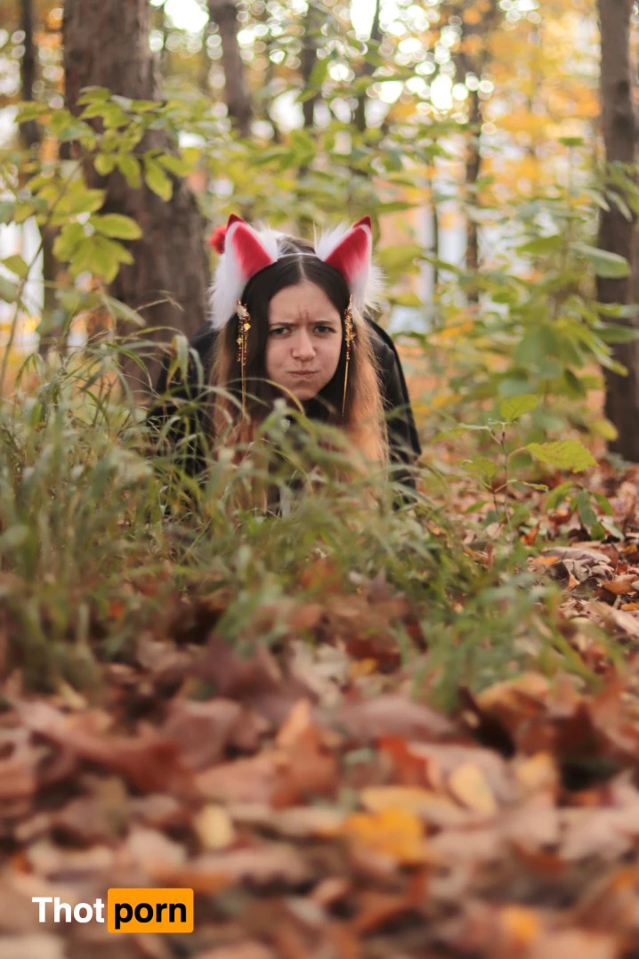 Akita - Cat Lady 11974942