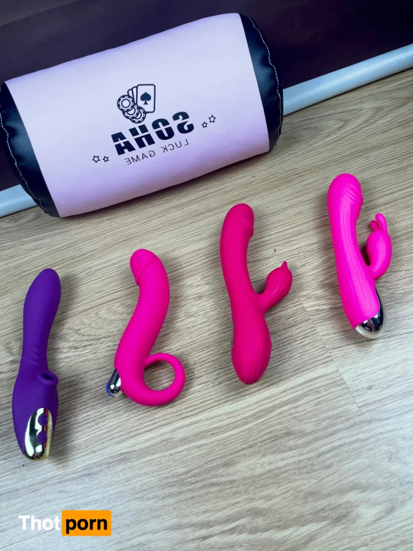 Akita - Cat Lady 11975255