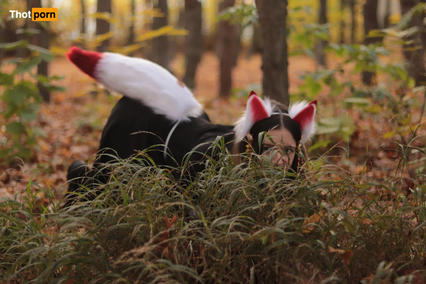 Akita - Cat Lady 11975299