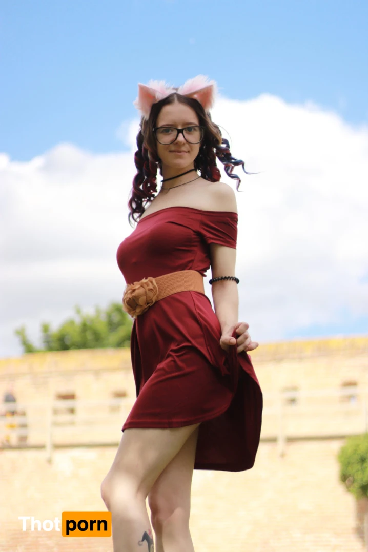 Akita - Cat Lady 11975602