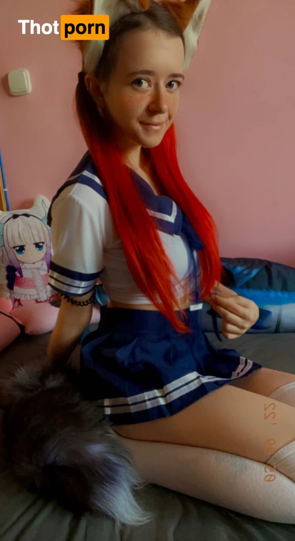 Akita - Cat Lady 11975792