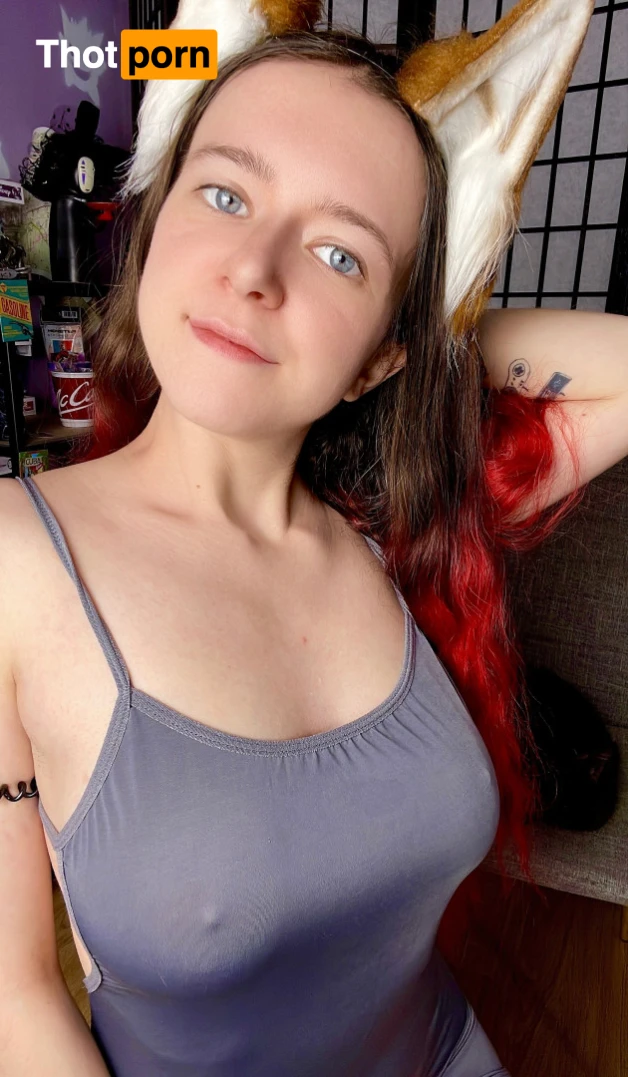 Akita - Cat Lady 16276493