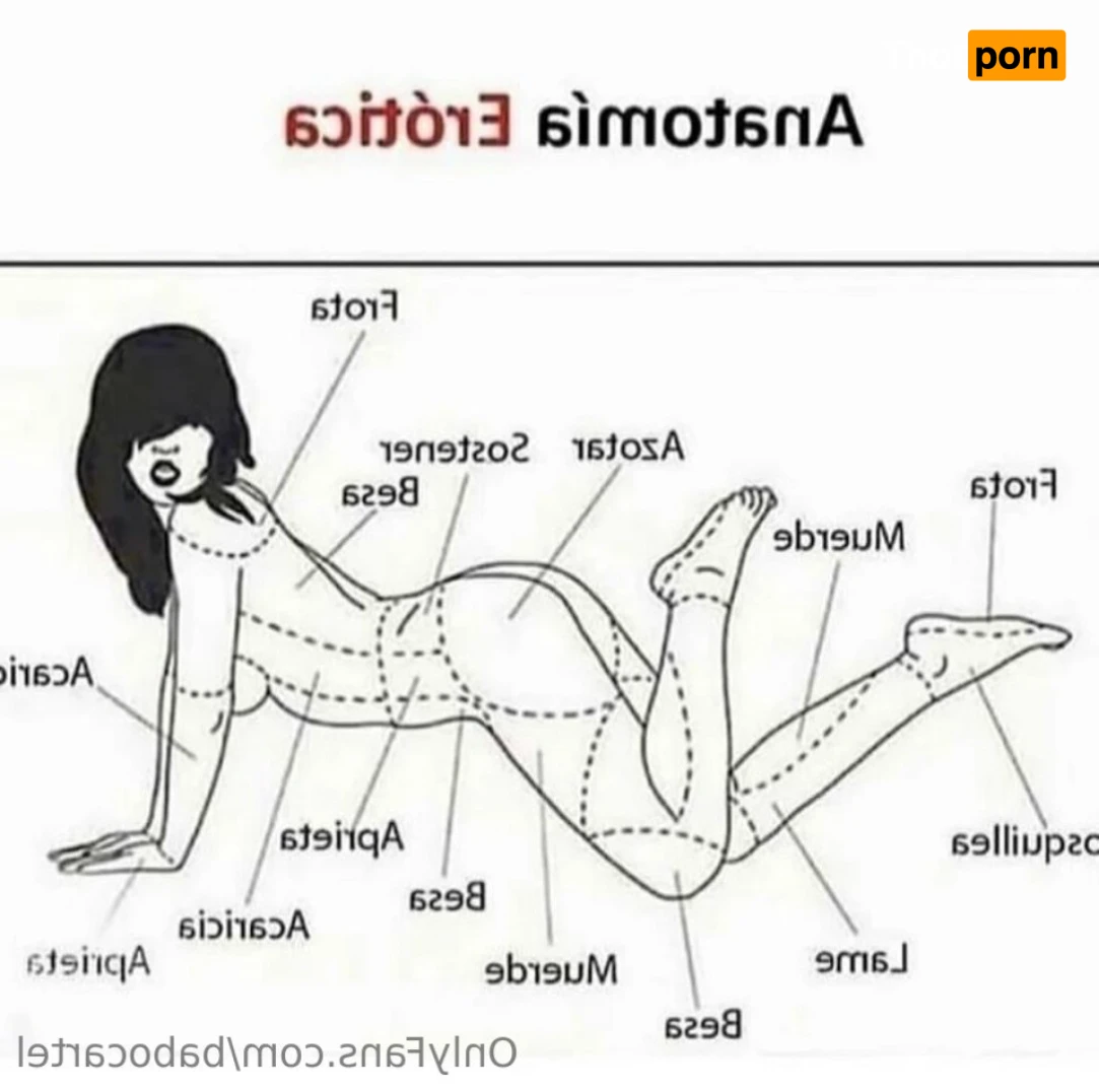 Babo Cartel de Santa 16258808