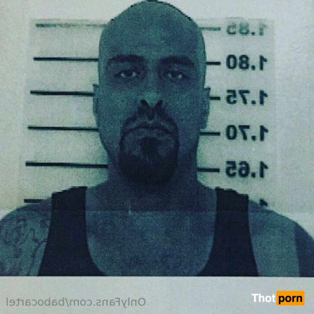 Babo Cartel de Santa 16258823