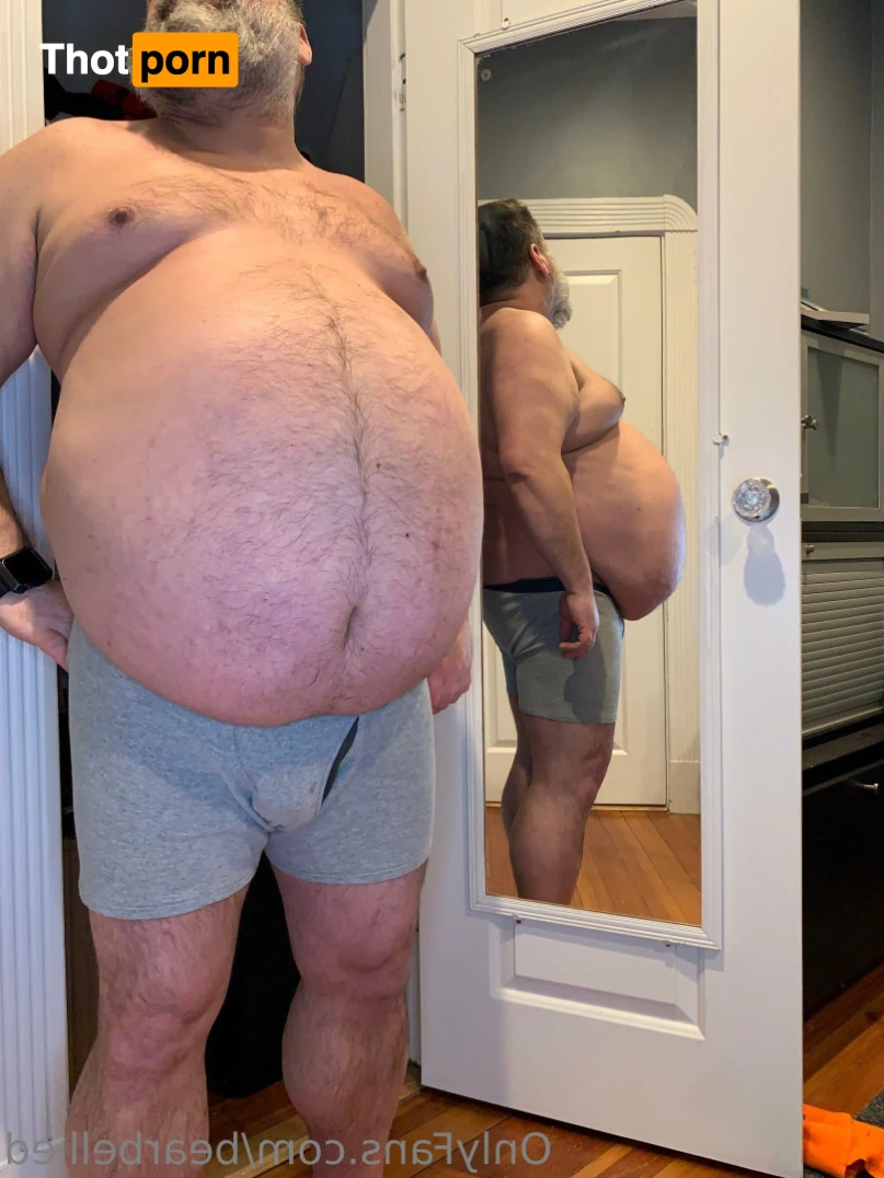 Big Bellied Bear 10999585