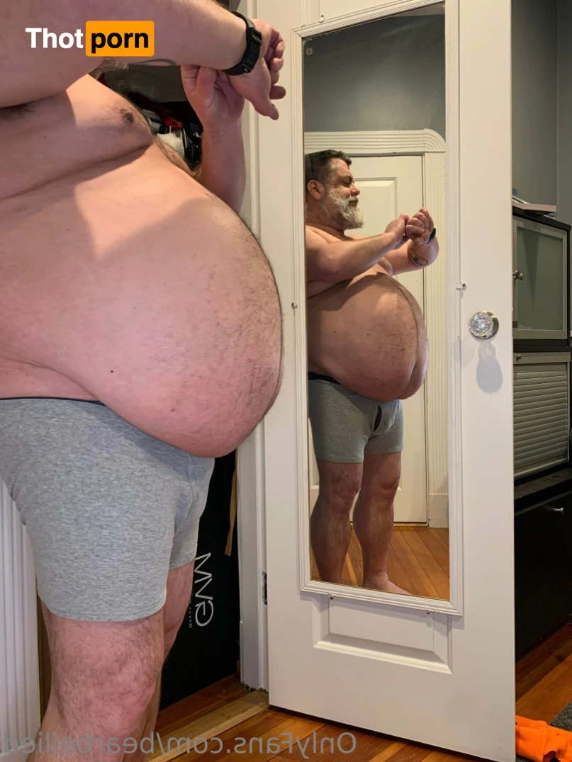 Big Bellied Bear 15955650