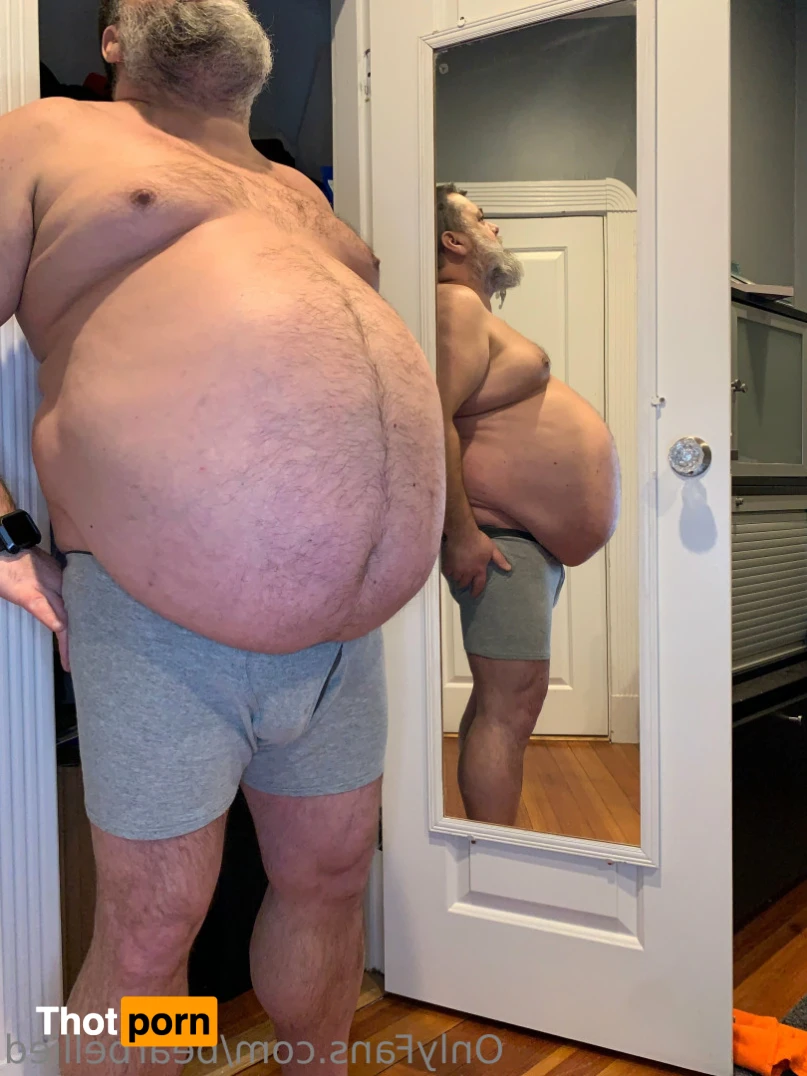 Big Bellied Bear 15955668