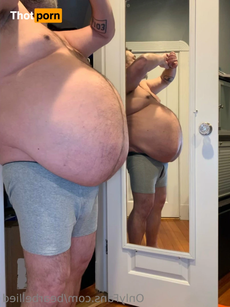 Big Bellied Bear 15955812