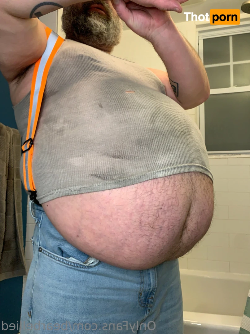 Big Bellied Bear 15955874