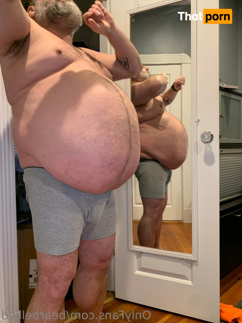 Big Bellied Bear 15956016