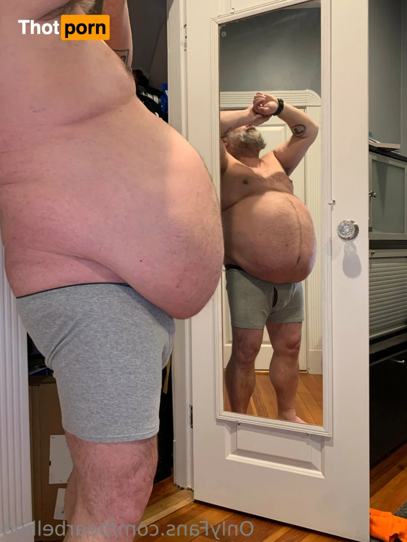 Big Bellied Bear 15956130