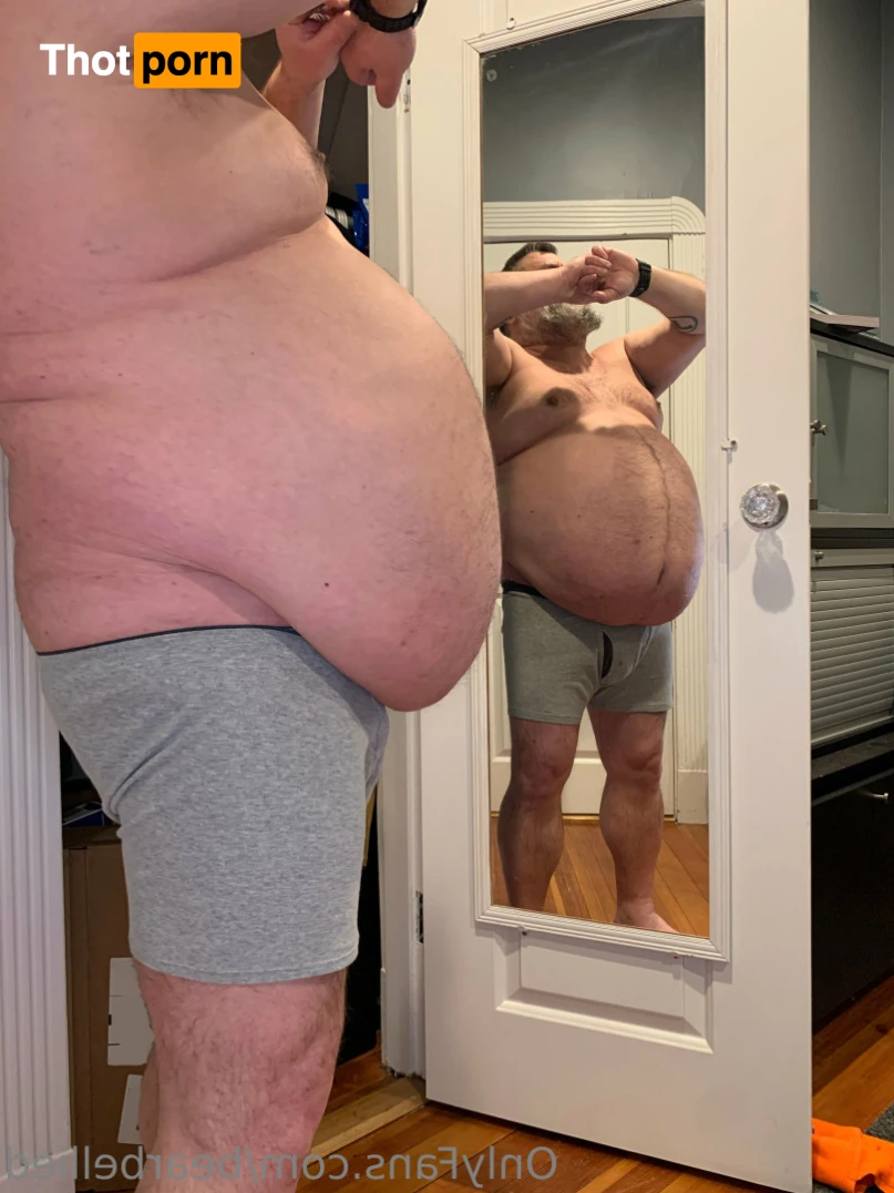 Big Bellied Bear 15956275