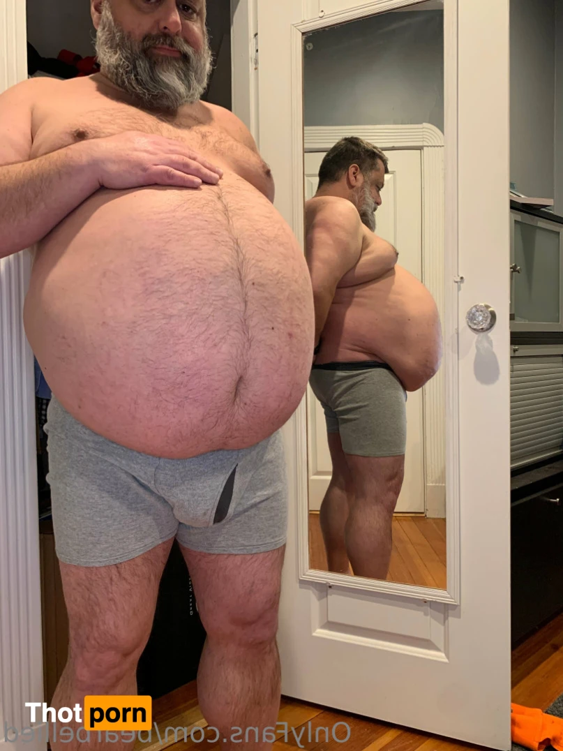 Big Bellied Bear 15956305