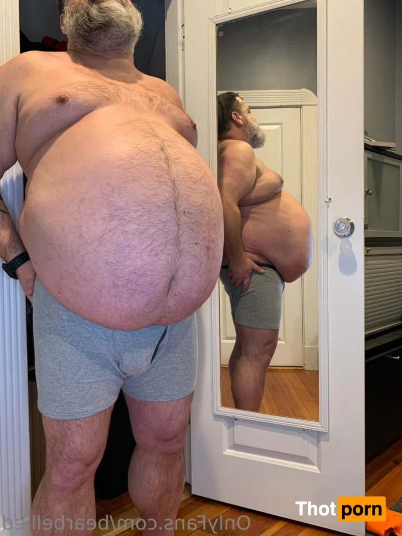 Big Bellied Bear 15956321