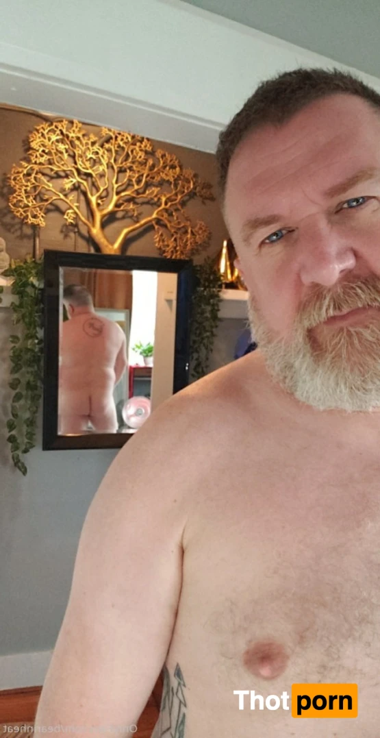 The Daddy Bear Life 15954735